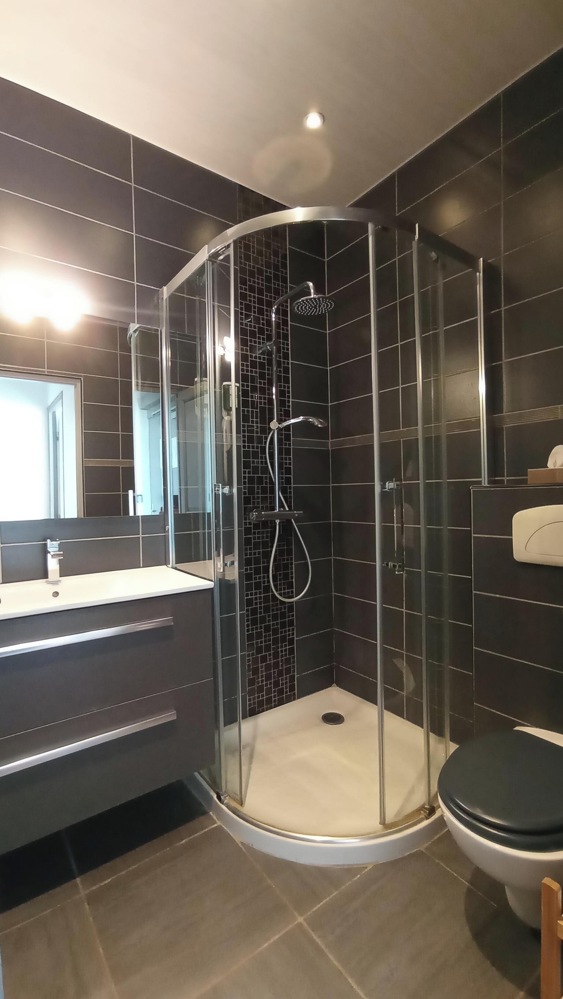 Een moderne badkamer met een douchecabine van glas, donkere betegelde muren, een wastafel met spiegel en een toilet.