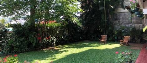 A well-maintained garden with a lawn, two wooden chairs, and various potted plants.
