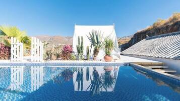 A clear blue pool with a tiled edge, surrounded by potted plants and a white structure.