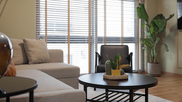 A modern living room with a sofa, a round coffee table, a chair, and a large potted plant. - Aria Luxury Apartment (Patras)