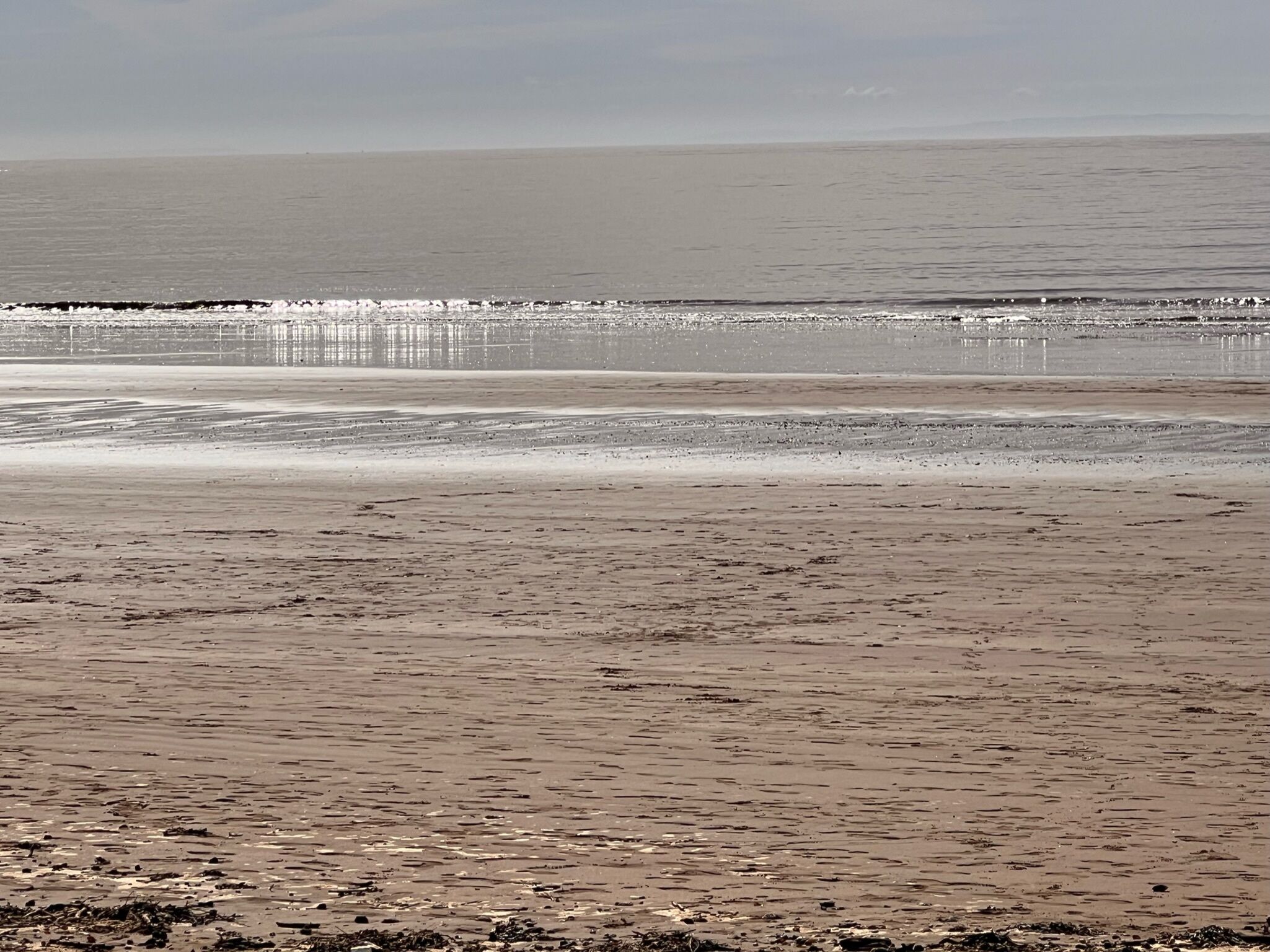 Una spiaggia con un mare calmo e una riva sabbiosa.