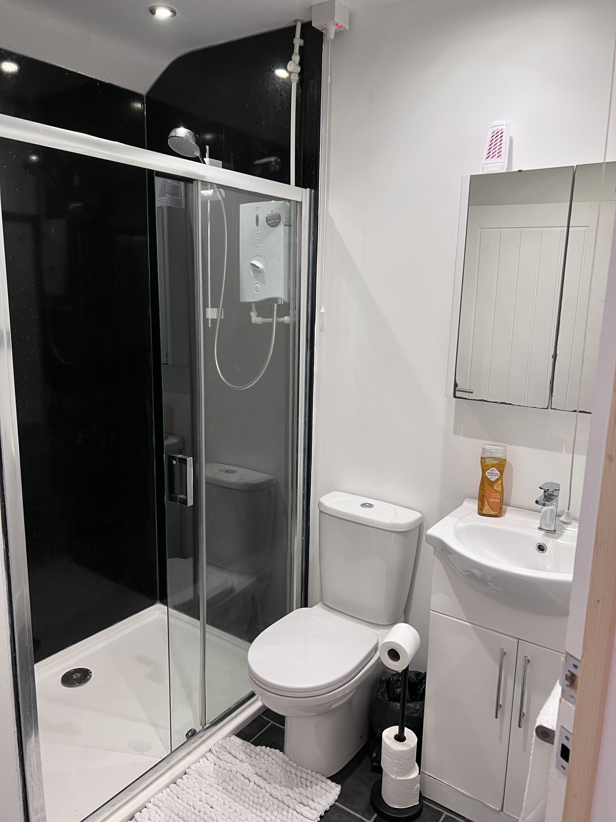 A modern bathroom with a glass-enclosed shower, a toilet, and a sink with a mirror above it.