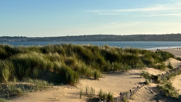 Een strand met duinen en een helder uitzicht op zee.