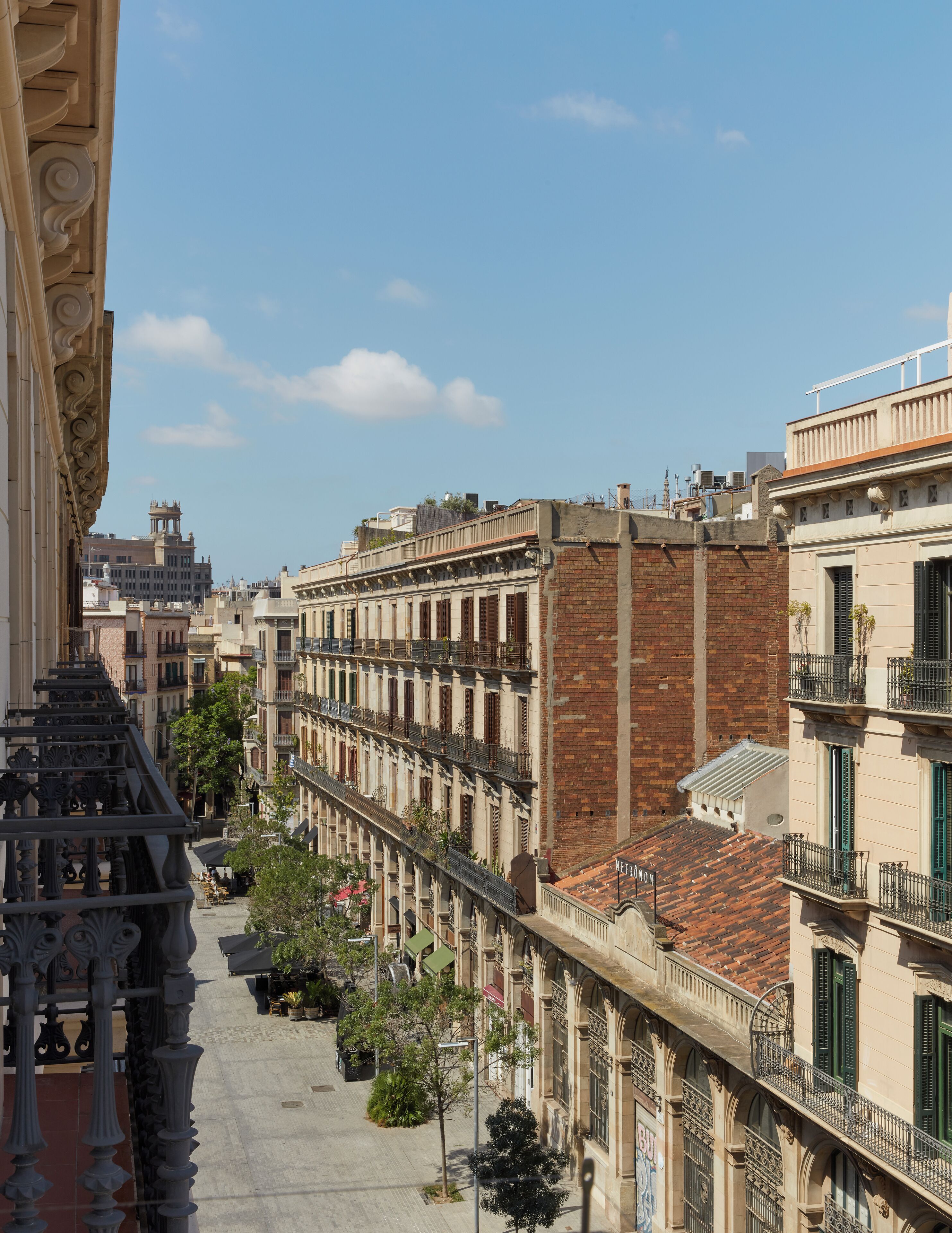 Photo - Miiro Borneta