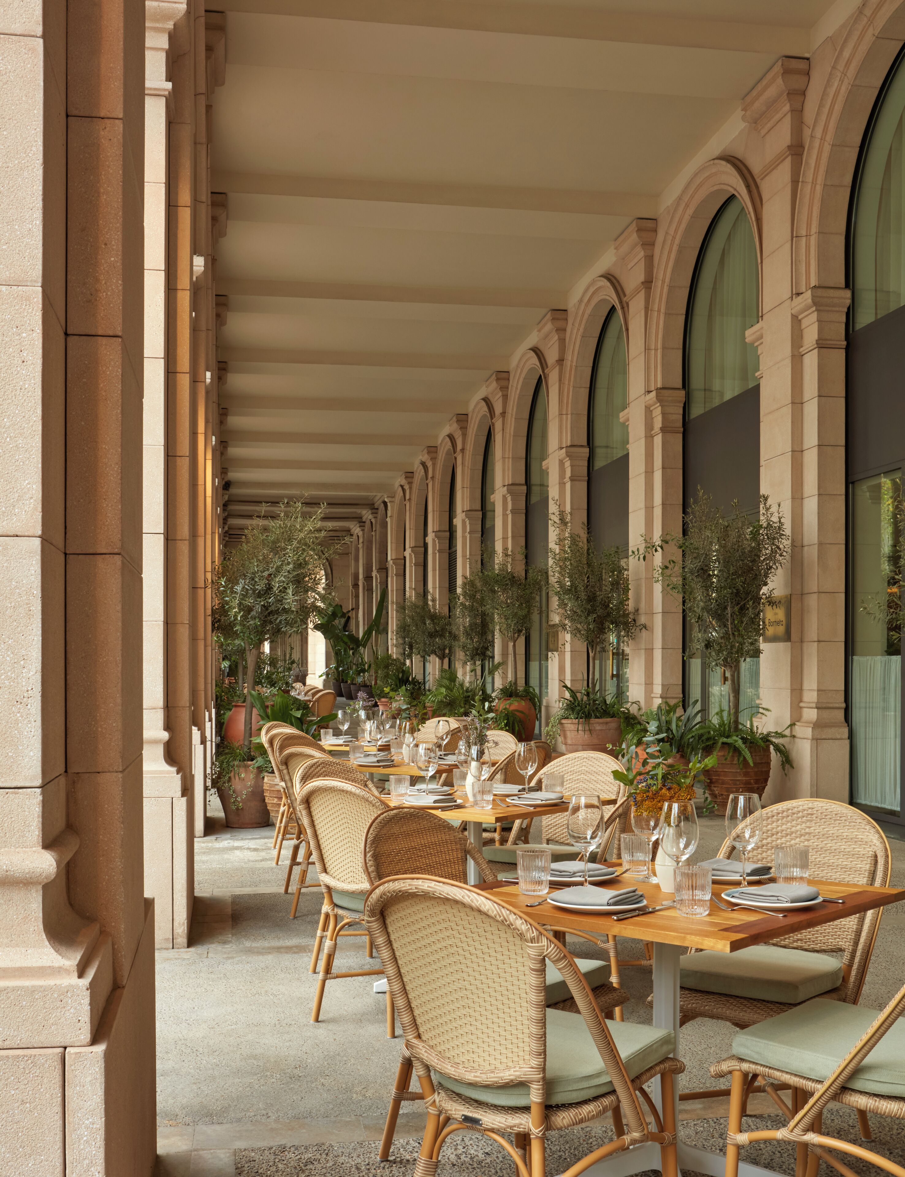 Photo - Miiro Borneta