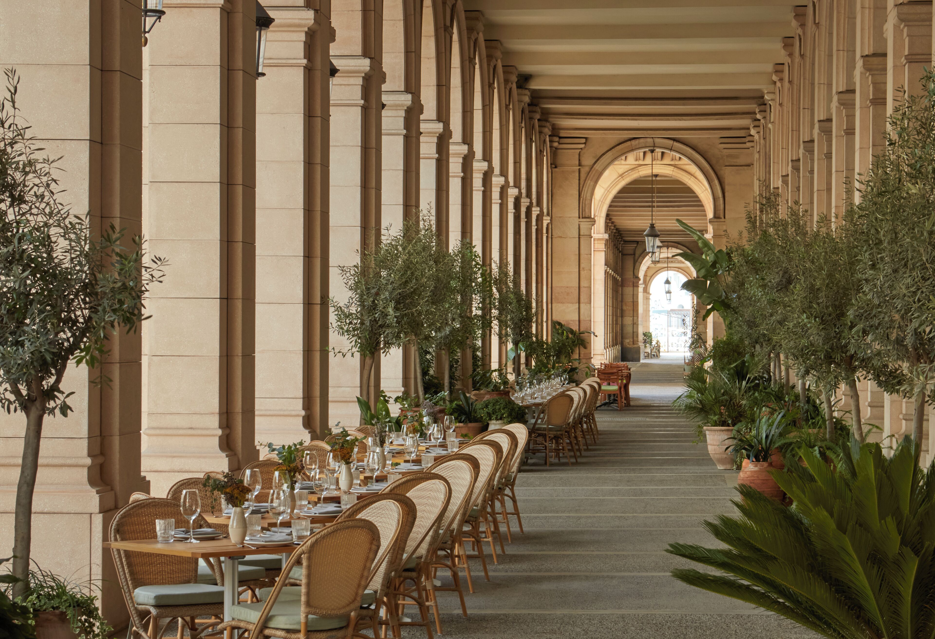 Photo - Miiro Borneta