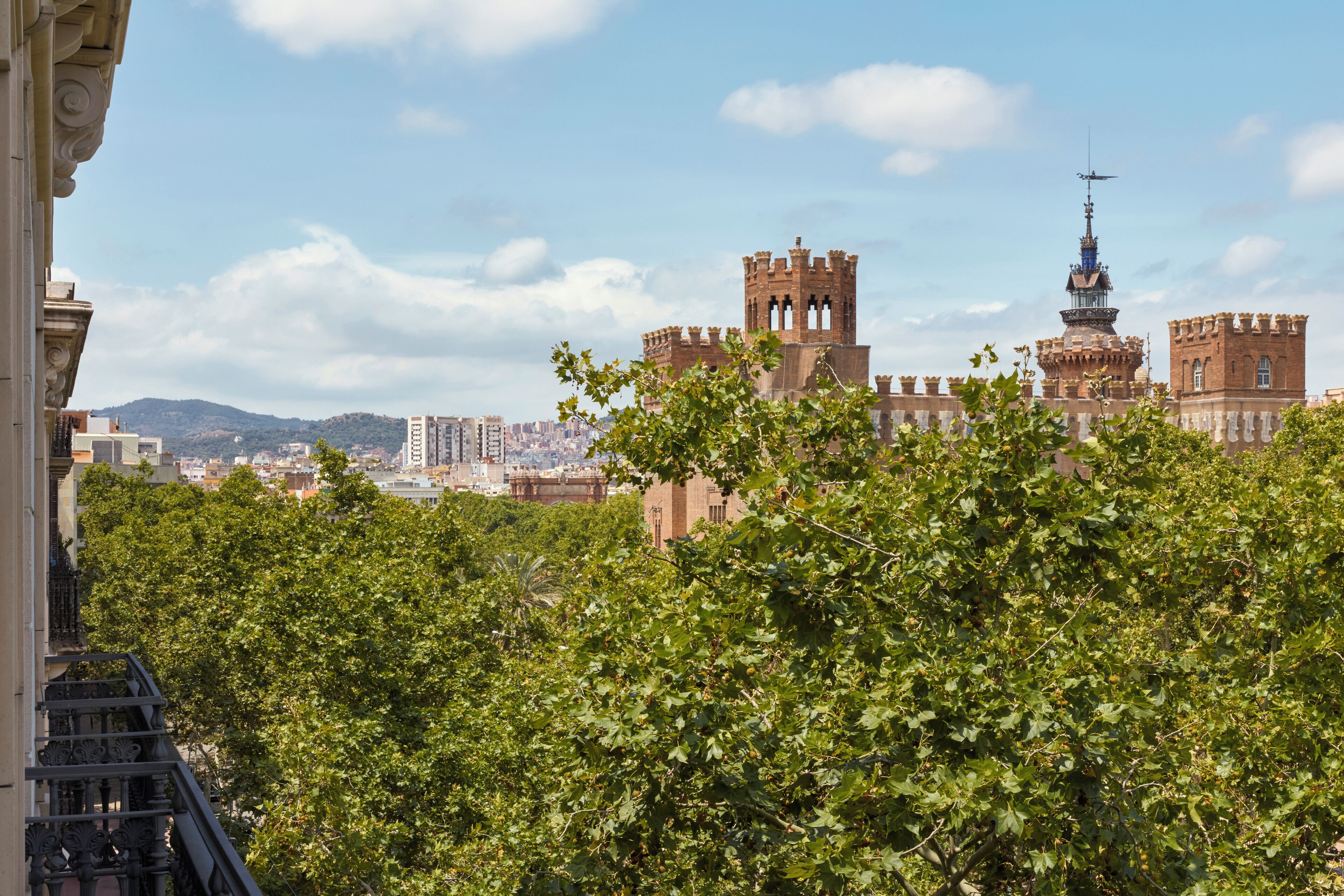 Photo - Miiro Borneta