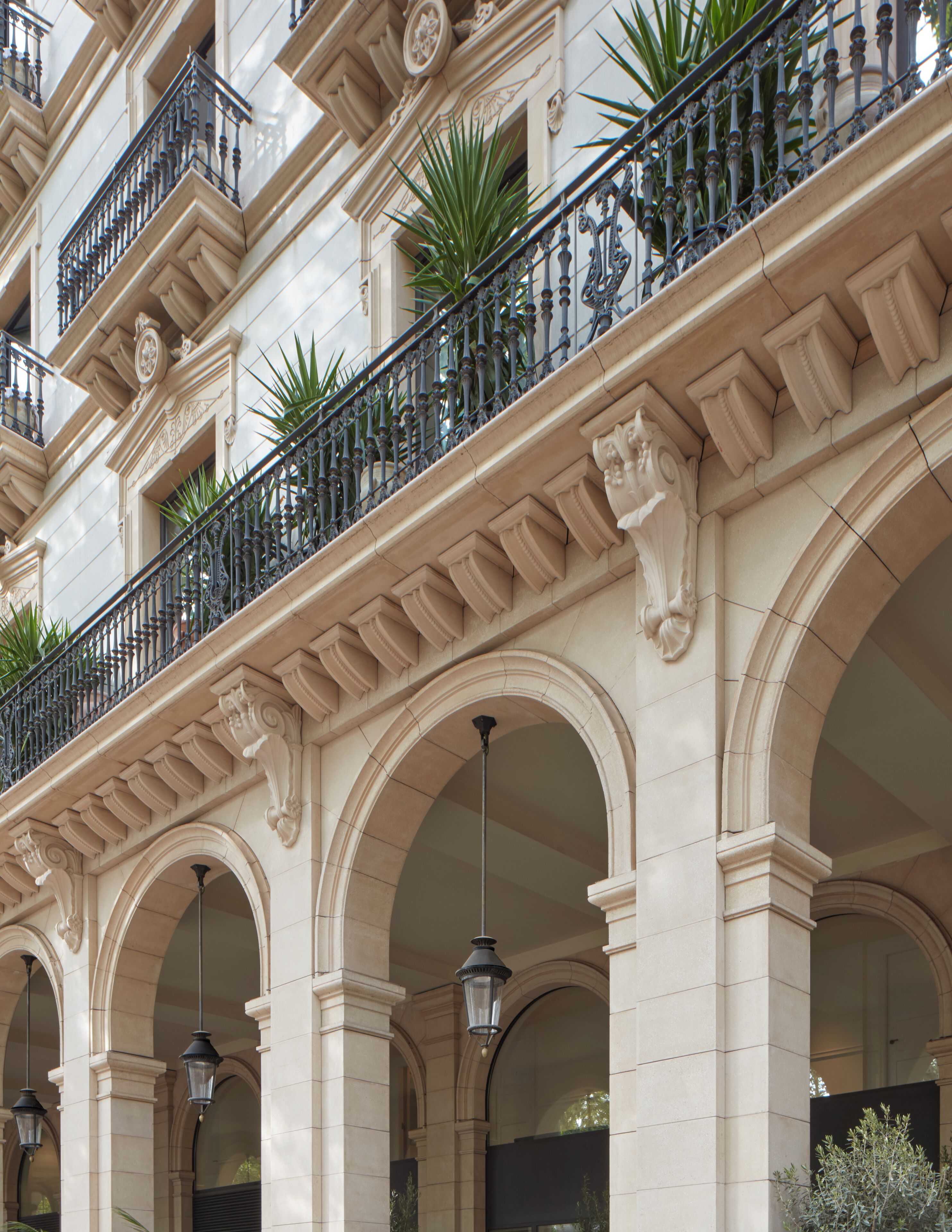 Photo - Miiro Borneta