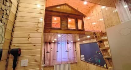 Mohe Arctic Village Time Travel Youth Hostel