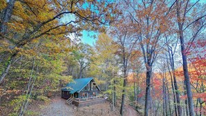 Una cabaña en un bosque con una terraza de madera y un techo de metal.