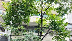 A tree in front of a building with a glass entrance and a visible signboard. - Brand new studio in Almagro with rooftop terrace, bathtub and balcony | Hospital Italiano, audiovisual hub & Av. Corrientes (Buenos Aires)