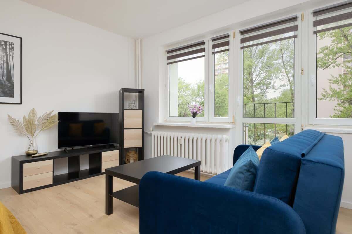 Fernseher, Arbeitsbereiche