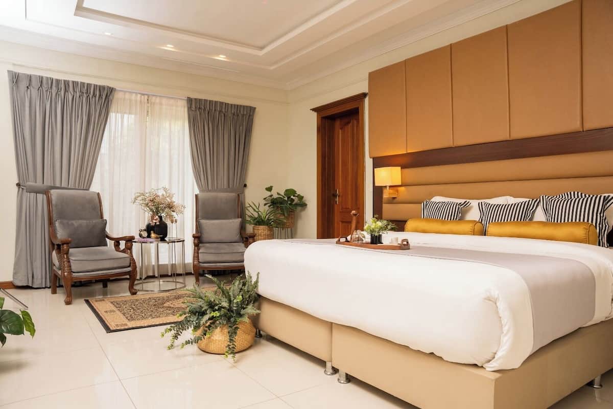 A hotel room with a large bed, two armchairs, a small table, and a potted plant.