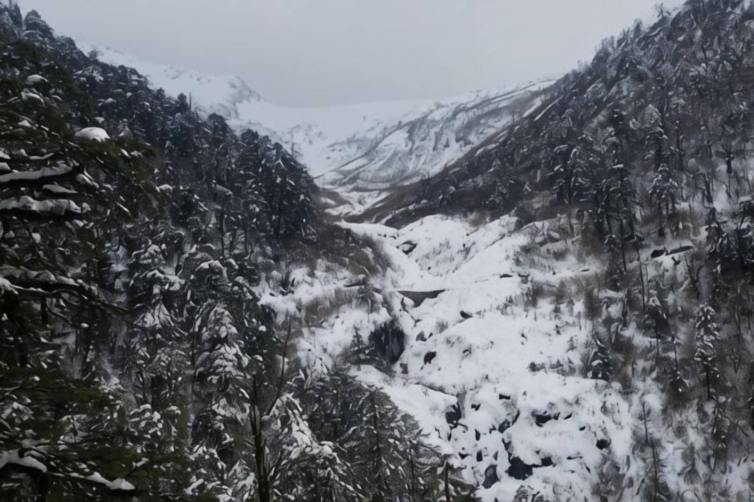 Un valle cubierto de nieve con un bosque denso a ambos lados.