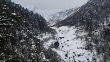 Un valle cubierto de nieve con un bosque denso a ambos lados.