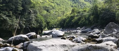 A river with large rocks and a bridge in a forested area.