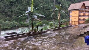 Un hotel con una terraza de concreto que da a un río, rodeado de abundante vegetación.