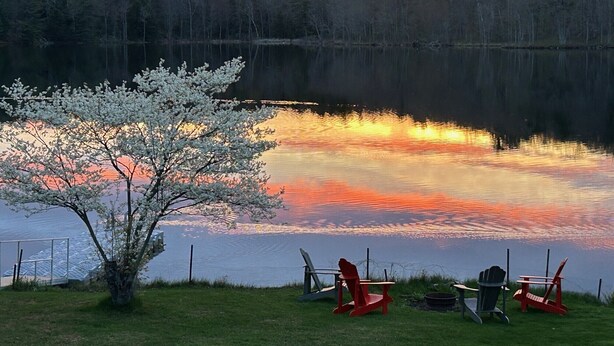 A lakeside view with a tree in the foreground, a dock, and two red Adirondack chairs. - Relaxing Graham Lake Escape (Mallorytown)