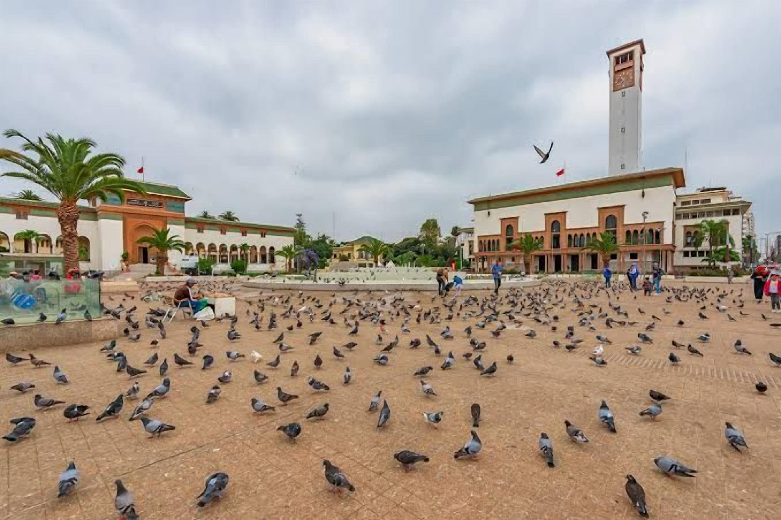A large open plaza with numerous pigeons, a central fountain, and a tall building with a clock tower in the background.