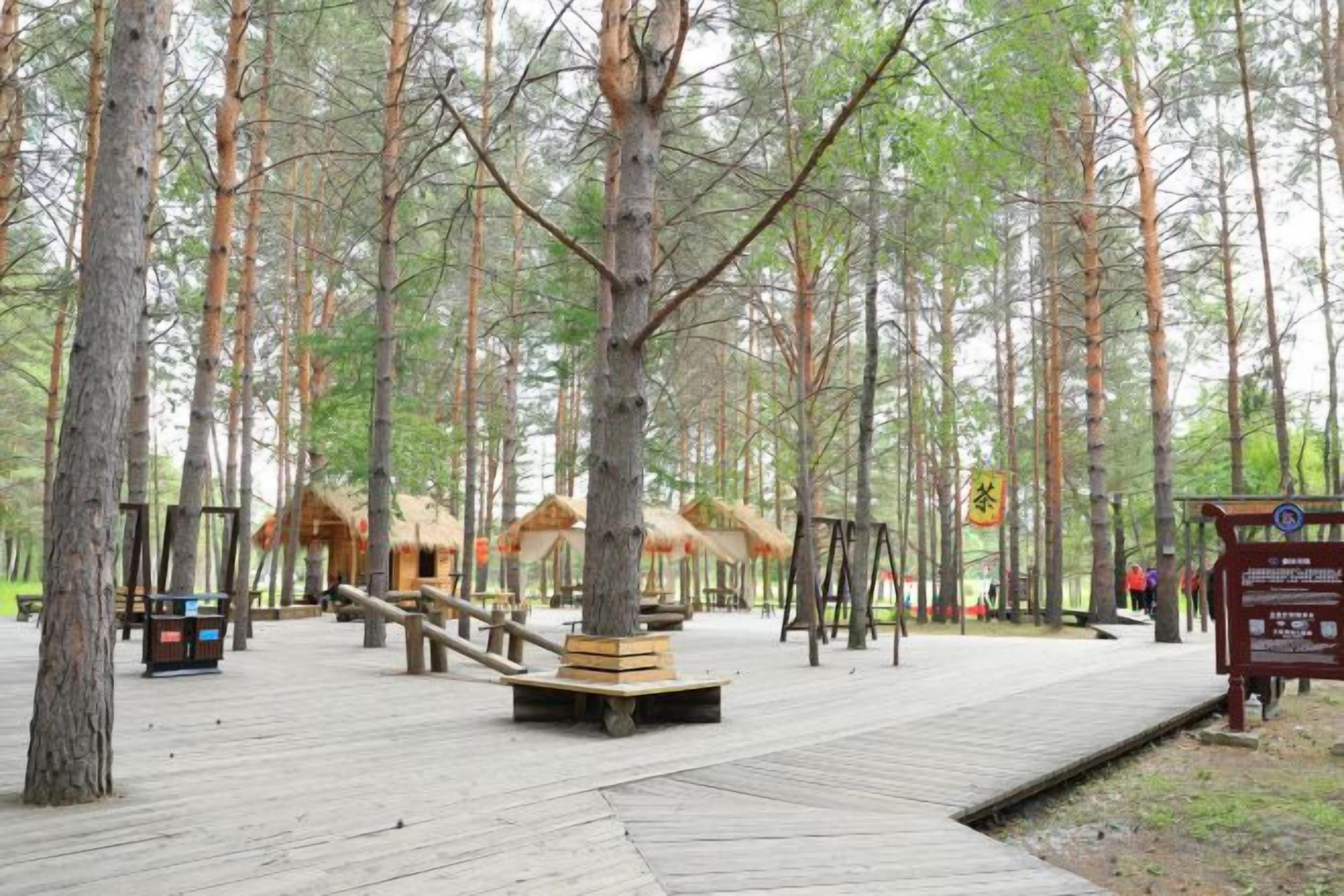 A wooden deck with swings and a thatched-roof structure in a forested area.