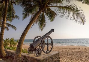 A cannon on a stone platform by the beach with palm trees and the ocean in the background.