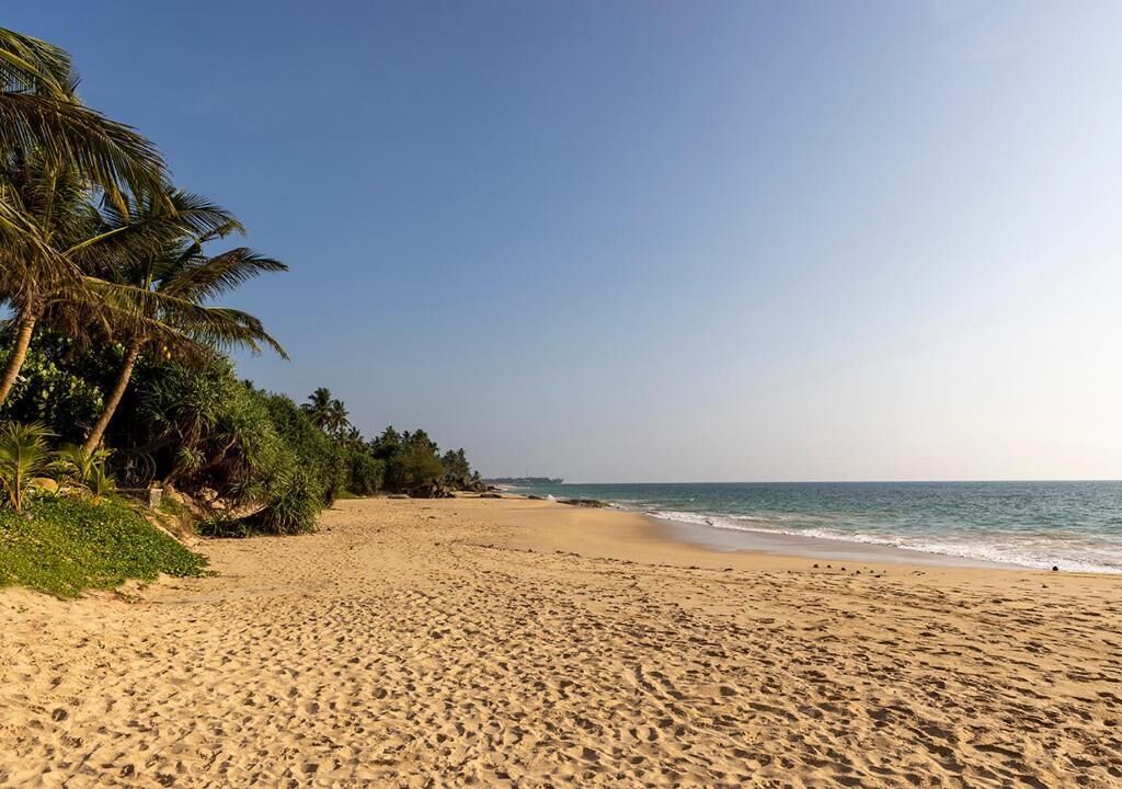 Een breed zandstrand met palmbomen en een heldere lucht.