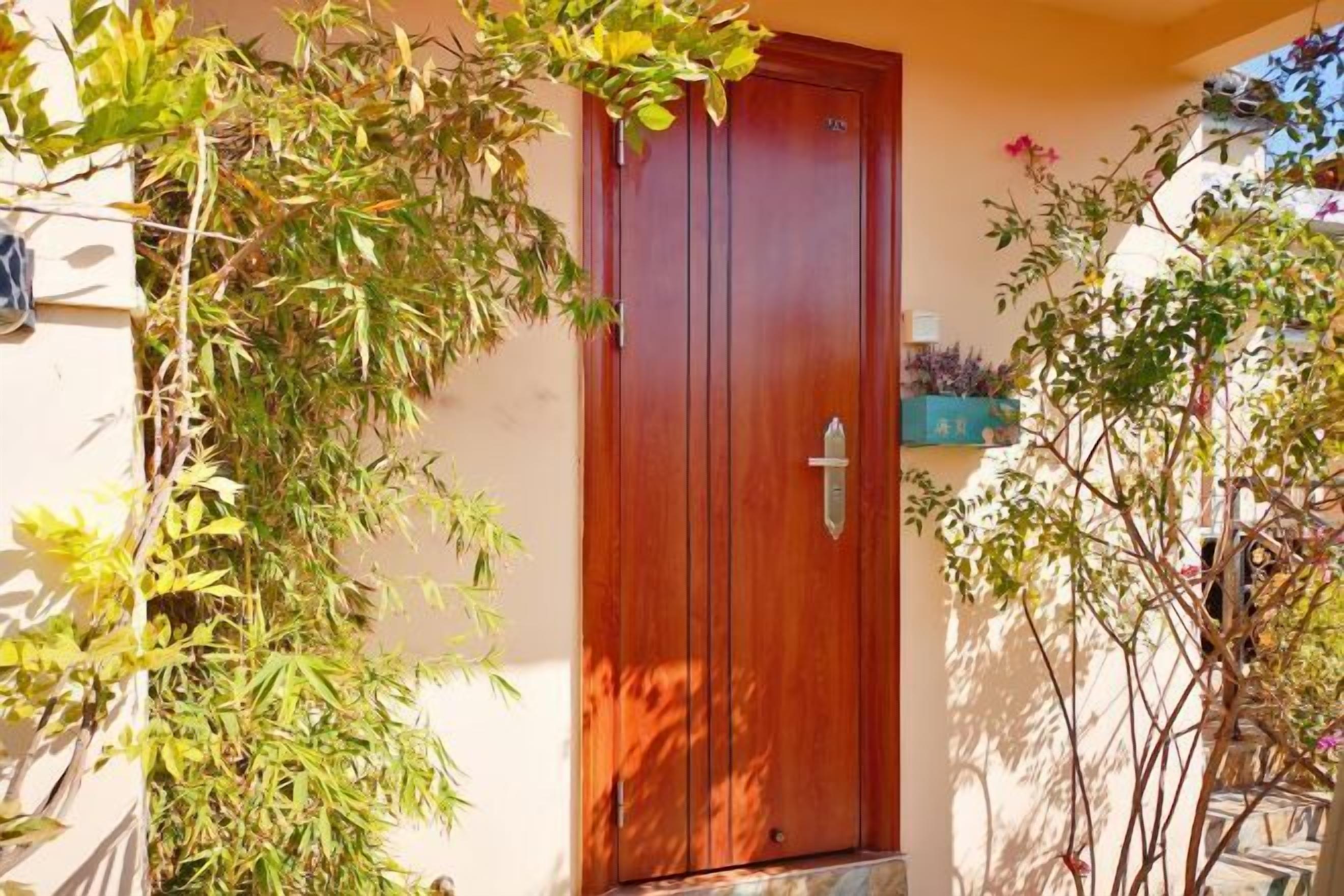 Uma porta de madeira com puxador, rodeada por vegetação e uma parede.
