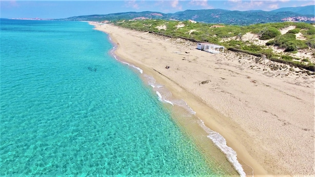 在海滩