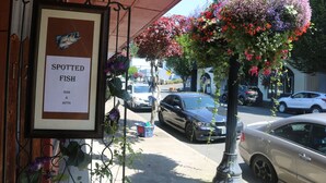 A framed sign with a fish illustration and text, a hanging flower basket, and parked cars on a street.