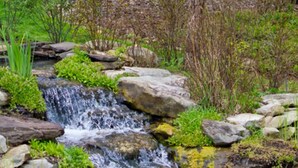 A small waterfall surrounded by rocks and greenery. - Fairlawn 327 | 6 BR • 2F & 4H Bathrooms (Fairlawn)