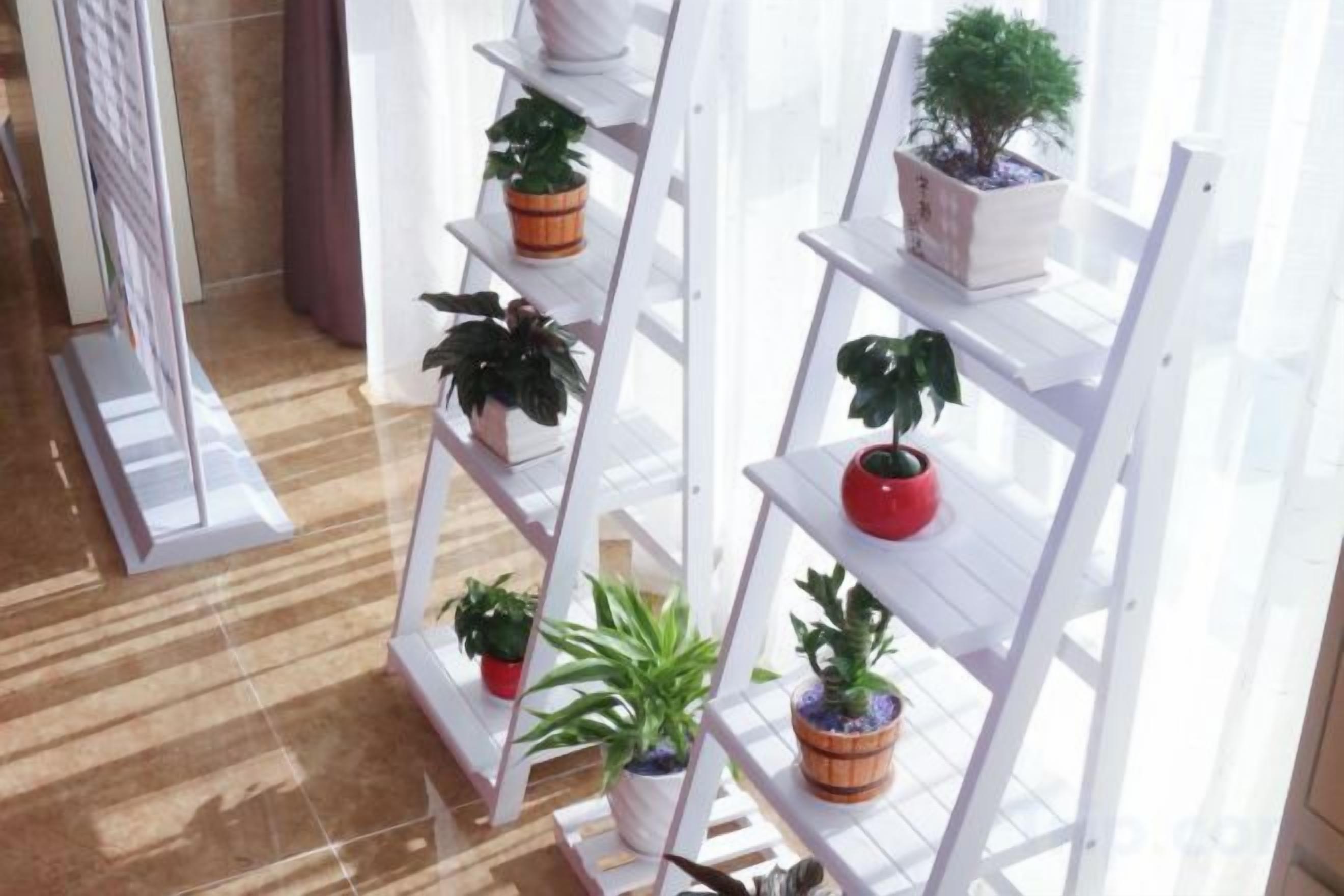 A white shelving unit with potted plants.