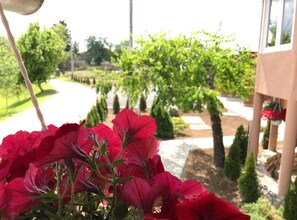 Vista desde la propiedad