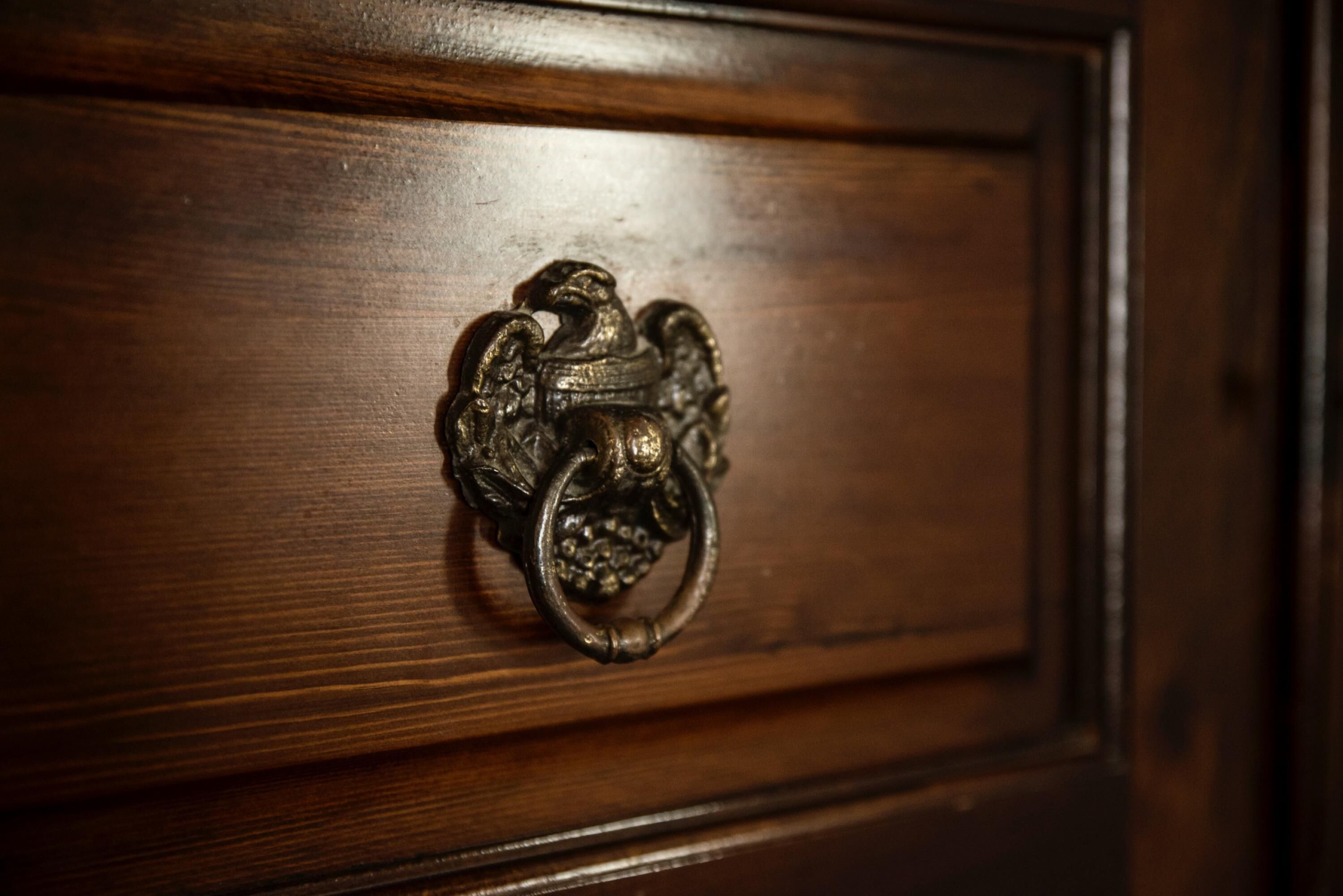 A wooden door with an ornate metal handle.