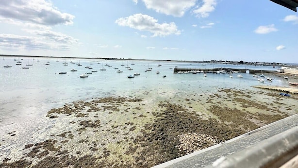 Une vue sur la côte, avec des bateaux sur l’eau et une rive rocheuse.