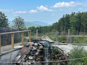A natural water feature with a wooden deck and chain-link fence, surrounded by trees and mountains. - Magic Forest Farm's Mountain View Suite (Coeymans Hollow)