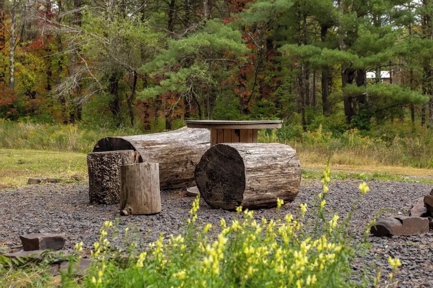 Un cadre extérieur rustique, avec une structure en bois et de grosses bûches.