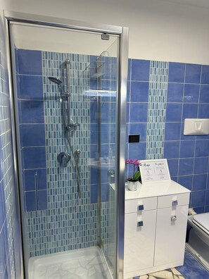 Shower, hair dryer, bidet, towels
