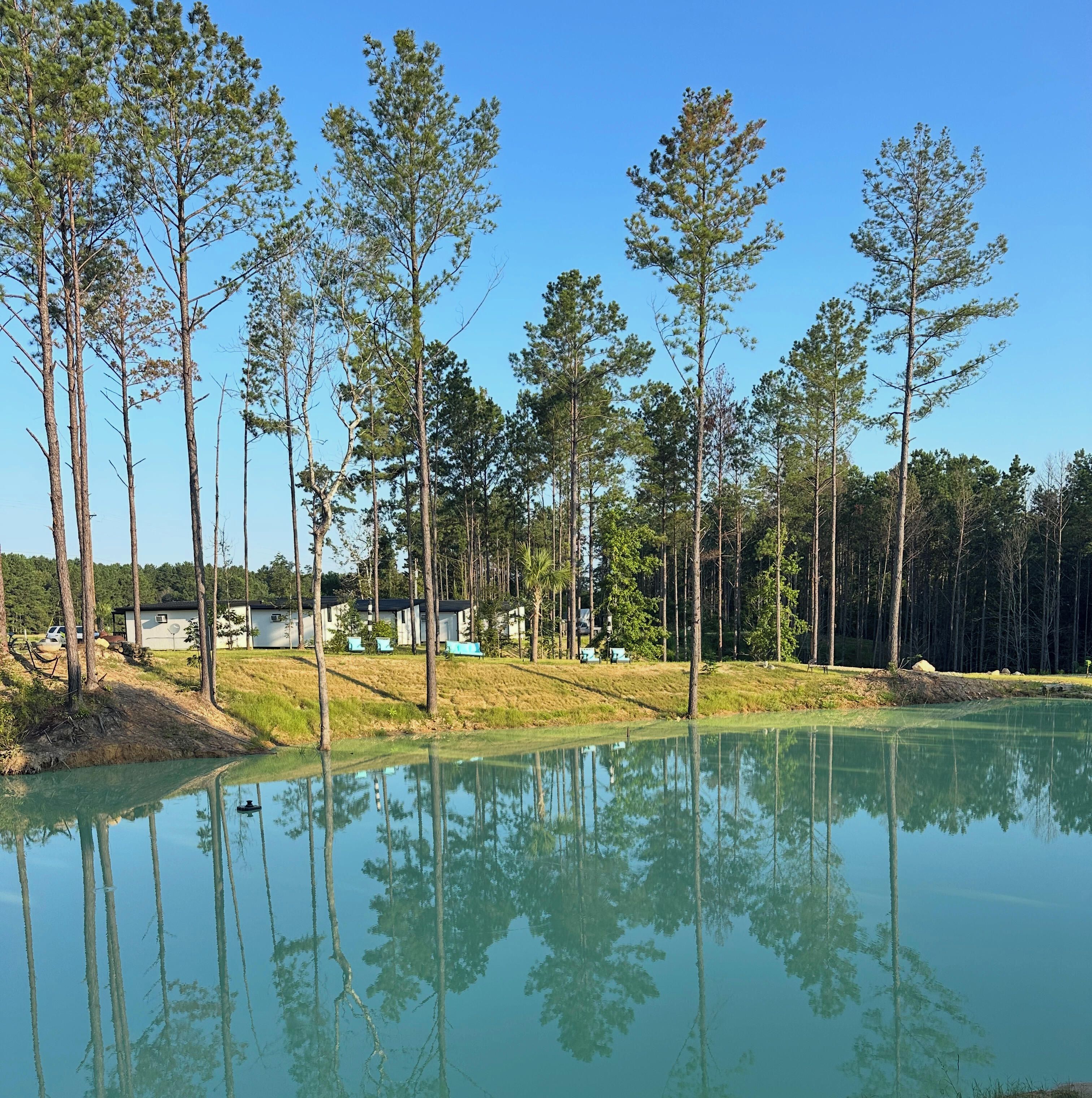 Un cadre paisible au bord d’un lac, avec de grands arbres et un ciel dégagé.