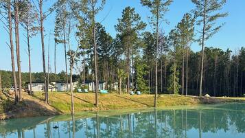 A serene lakeside setting with tall trees and a clear sky.