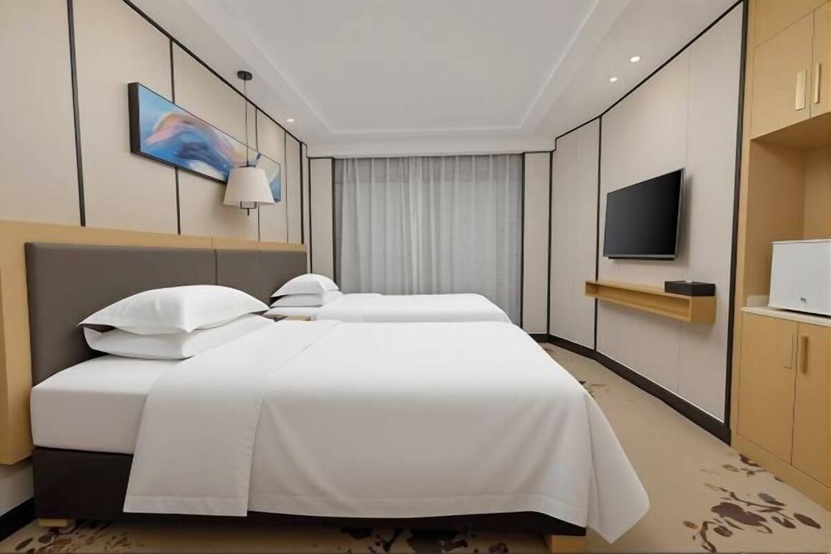 Une chambre d’hôtel avec un lit, une télévision, un tableau et une fenêtre avec des rideaux.