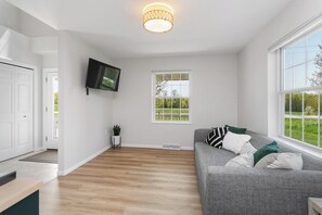 Smart TV, fireplace, books