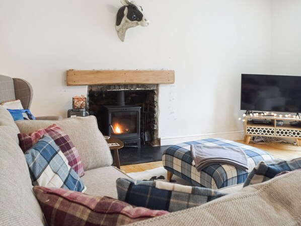 TV, fireplace - 3 bedroom accommodation in Llansteffan, near Carmarthenshire (Llansteffan, near Carmarthenshire)