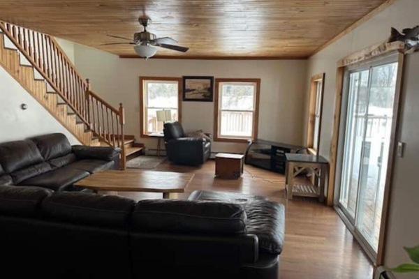 TV connectée, cheminée, livres