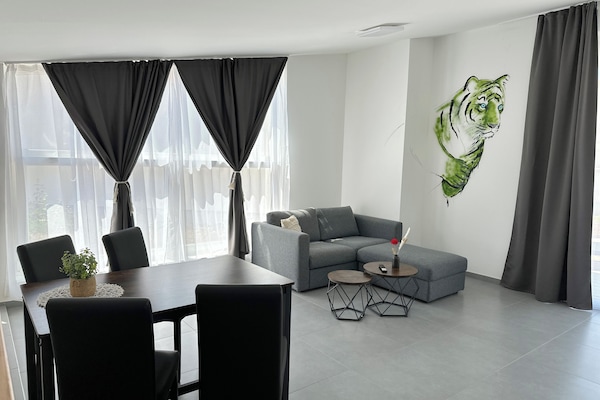 Suite estudio superior | Zona de estar