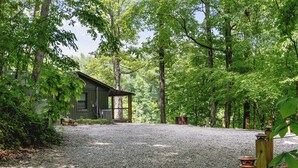 A gravel driveway leading to a wooden cabin surrounded by dense trees. - Collins River Cottage (Warren County)