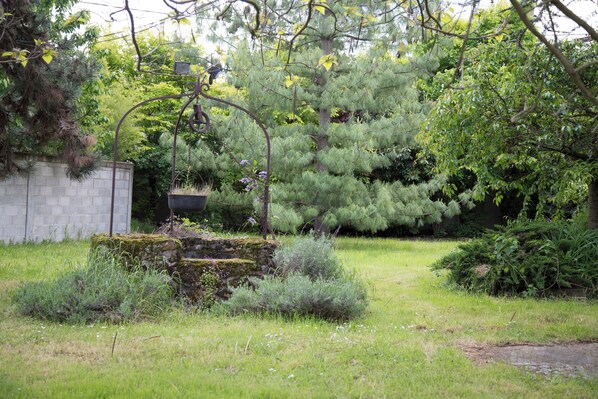 A garden with a stone wall, a metal fence, and various trees and shrubs.