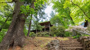 A rustic wooden staircase leading to a cabin surrounded by lush greenery and trees. - Biltmore discount tickets|close to Cataloochee ski (Waynesville)