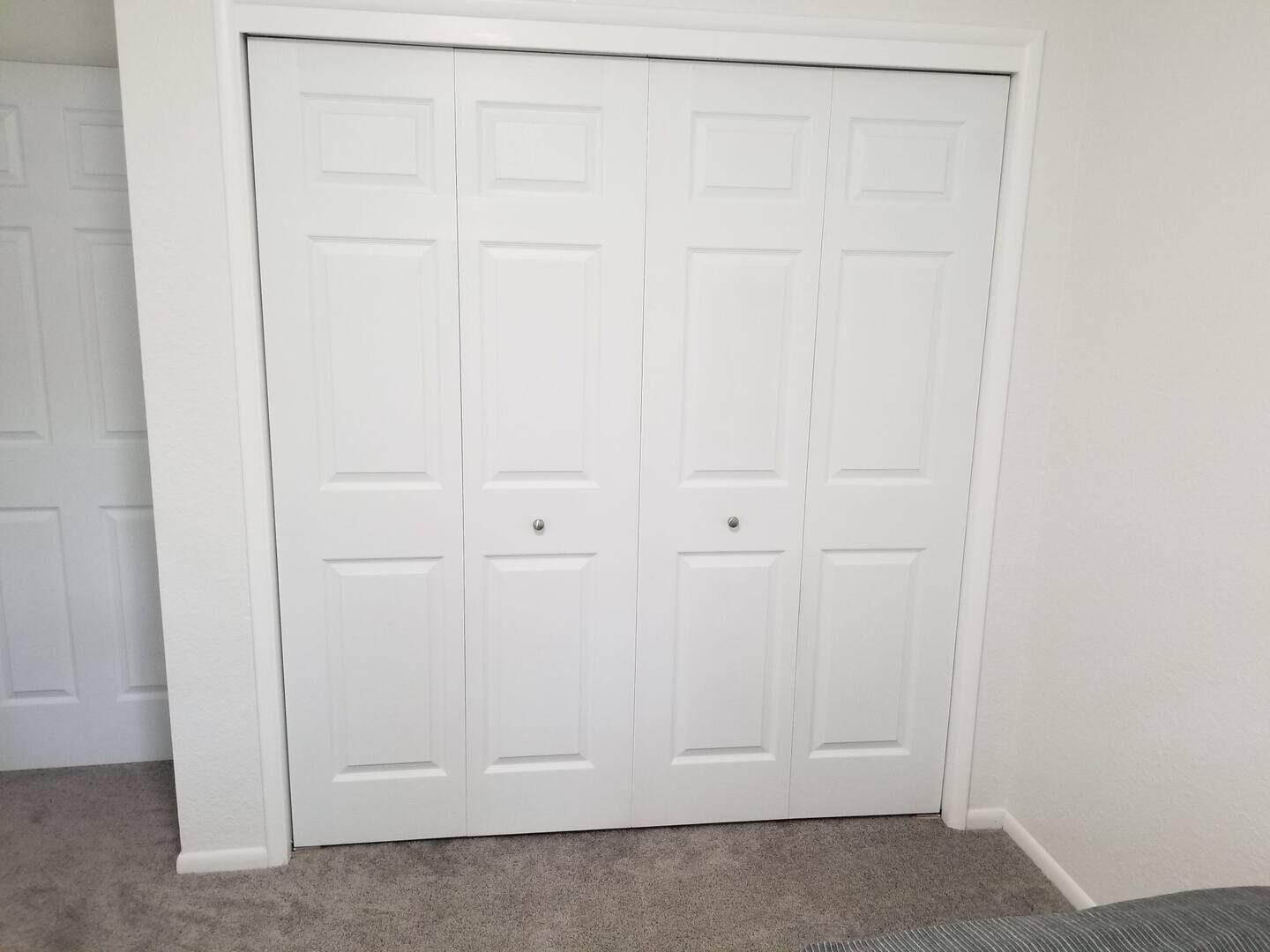 A white closet with two doors, a carpeted floor, and a white wall.