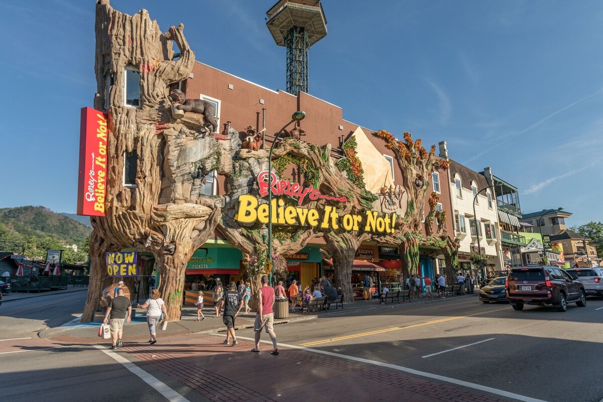 Photo 135 of Your Family Reunion Getaway