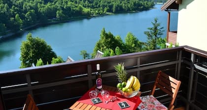 A small studio apartment in the heart of picturesque village Fužine in Croatia!